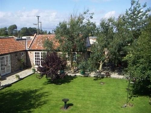 Yew Tree House - B&B Burnham-on-Sea Exteriör bild